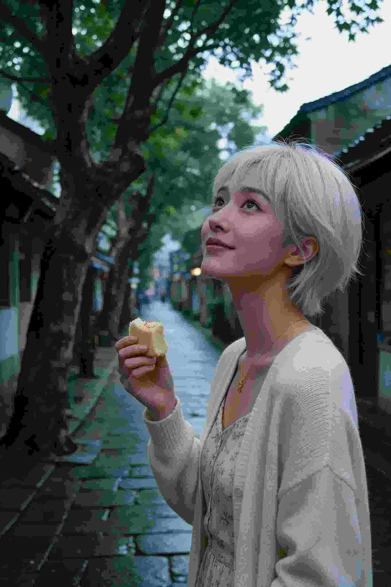 吸血鬼骑士